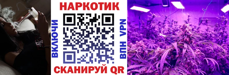 Виды наркоты Будённовск МЕГА ссылка  Alpha PVP  Гашиш  Меф  Конопля 