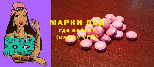 прущие грибы Саяногорск